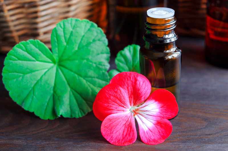 Itır Geranium Yağı Faydaları