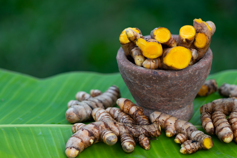 zerdeçal-uçucu-yağı-curcuma-longa-kökleri